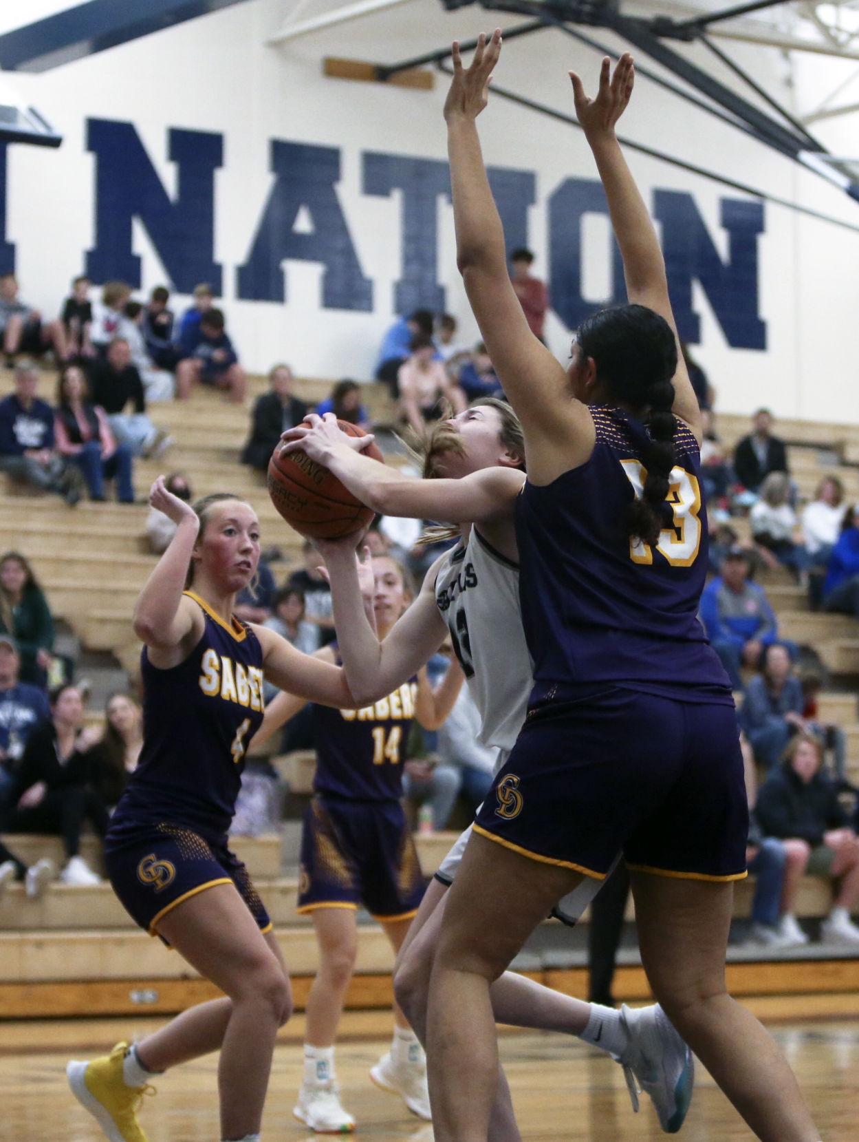 120321-qc-spt-dewitt-pv gbkb027.JPG